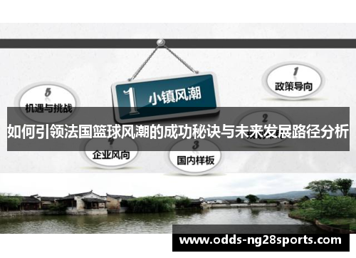 如何引领法国篮球风潮的成功秘诀与未来发展路径分析