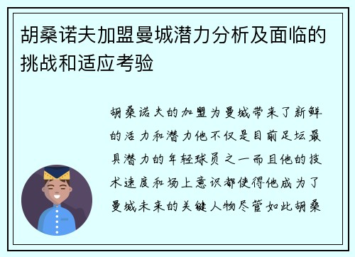 胡桑诺夫加盟曼城潜力分析及面临的挑战和适应考验