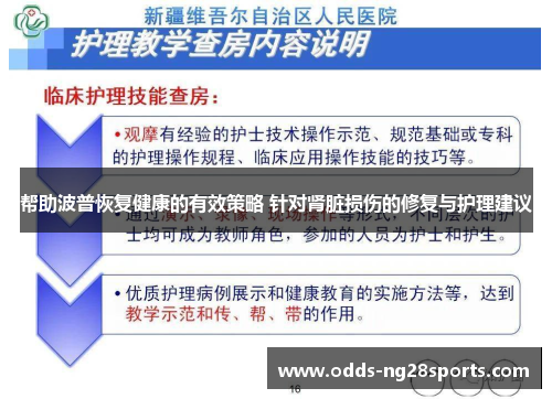 帮助波普恢复健康的有效策略 针对肾脏损伤的修复与护理建议