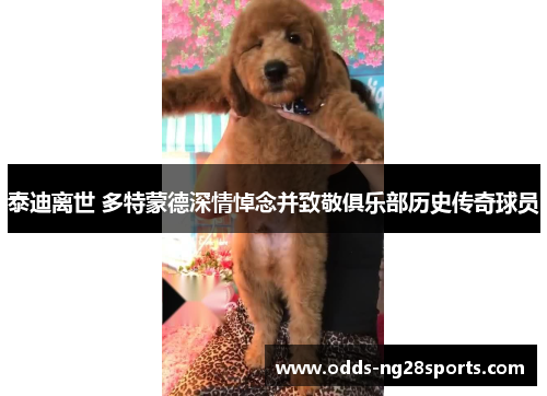 泰迪离世 多特蒙德深情悼念并致敬俱乐部历史传奇球员