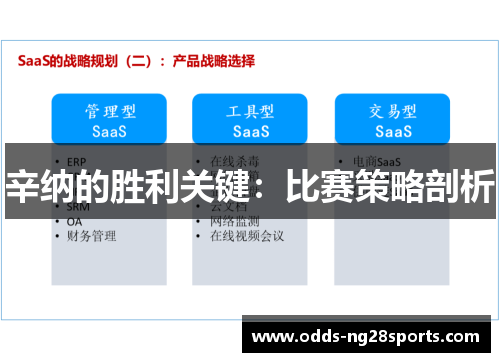 辛纳的胜利关键：比赛策略剖析