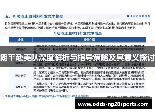 朗平赴美队深度解析与指导策略及其意义探讨